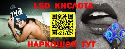 крисы Берёзовский