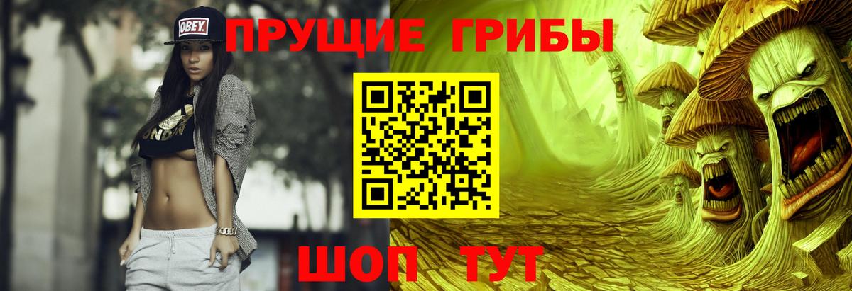 Псилоцибиновые грибы мицелий Кировск