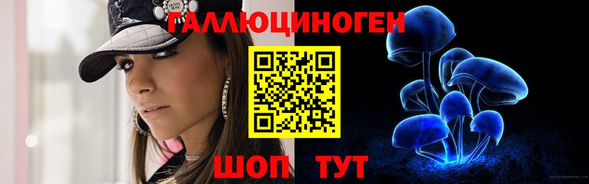 Кировск  Вход с VPN  МЕФ  ЭКСТАЗИ  Где купить  НБОМе  Кокаин  Каннабис  Мефедрон   Alpha PVP СК  